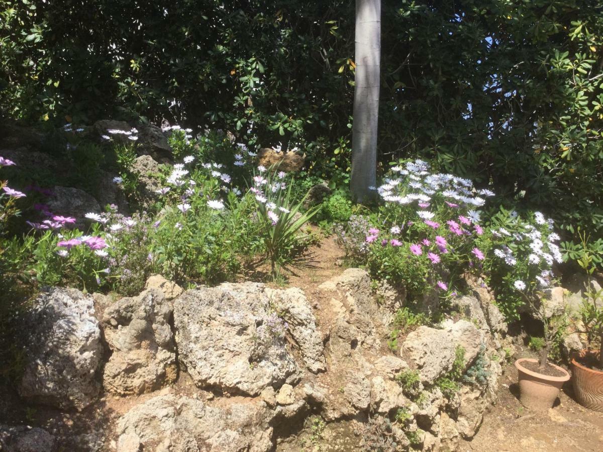 Villa Macoran 2 Etoiles Saint Aygulf Εξωτερικό φωτογραφία