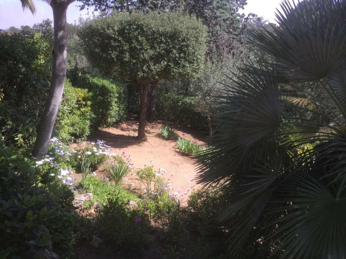 Villa Macoran 2 Etoiles Saint Aygulf Εξωτερικό φωτογραφία
